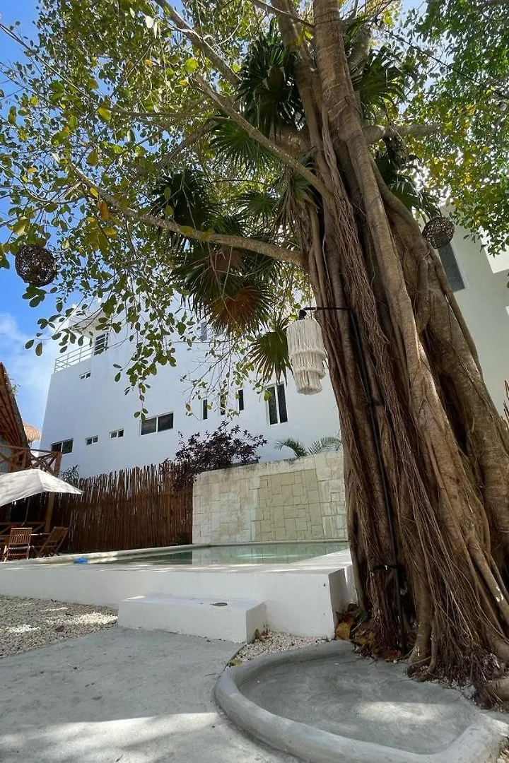 Nido By Puerto Morelos 0*,  Mexico