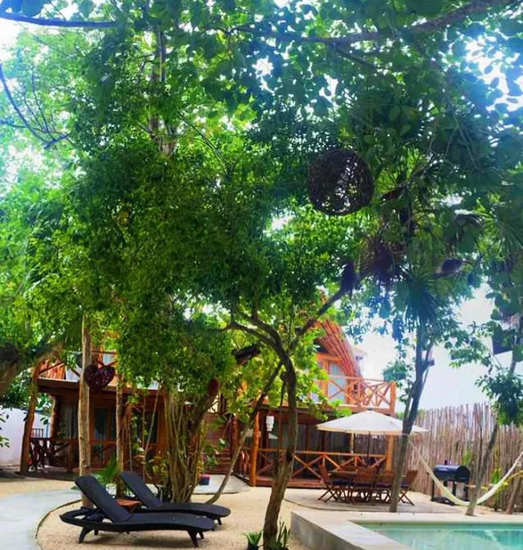 Nido By Puerto Morelos Mexico